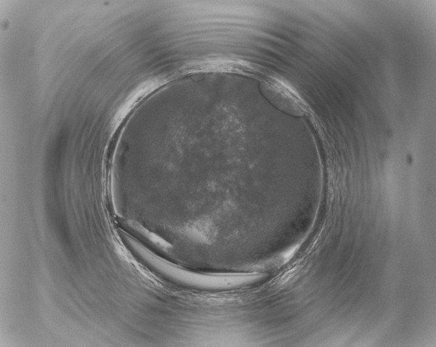 X0000056330994200509092324