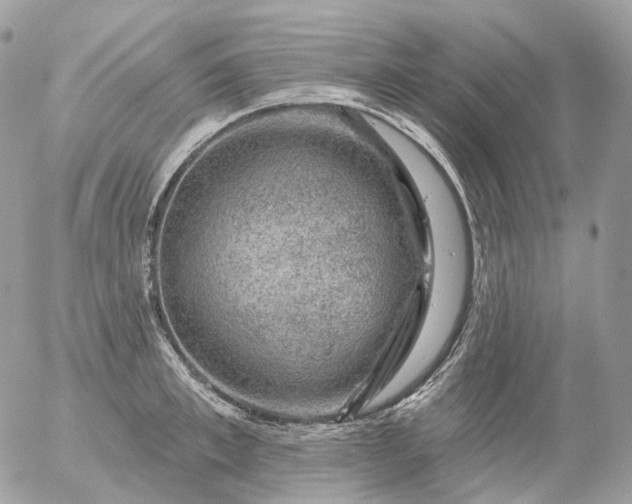 X0000056330997200509092324