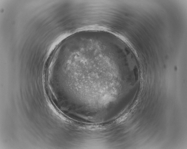 X0000056330998200509092324