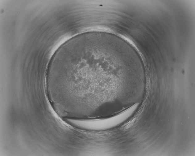 X0000056330999200509092324