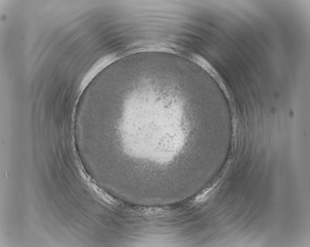 X0000056331002200509092323