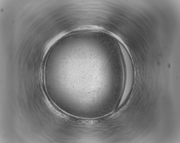 X0000056331003200509092323