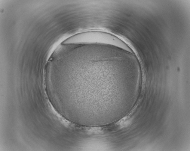 X0000056331006200509092323