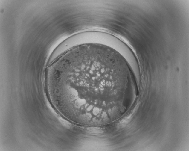 X0000056331007200509092323