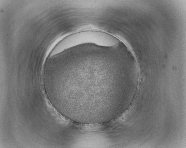 X0000056331008200509092323