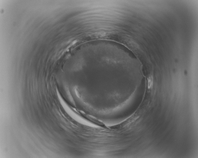 X0000056331011200509092323