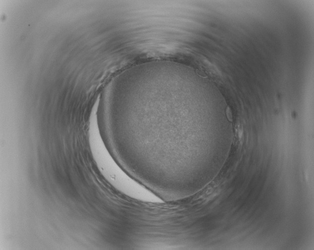 X0000056331012200509092323