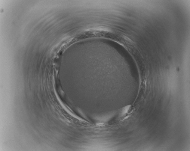 X0000056331014200509092323