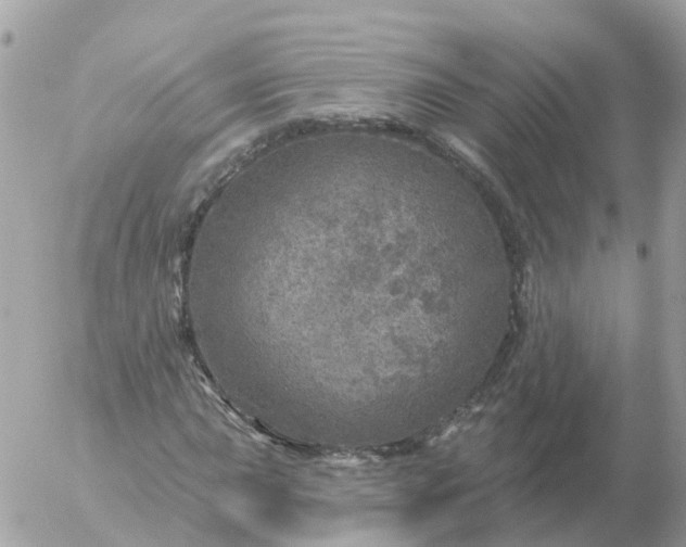 X0000056331015200509092323