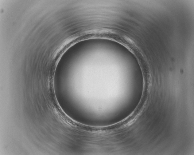 X0000056331017200509092323