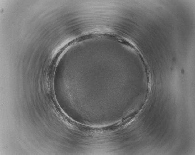 X0000056331018200509092323