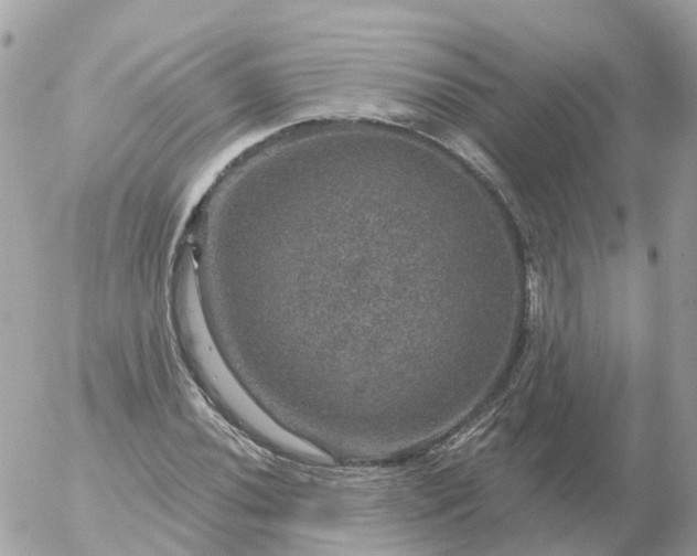 X0000056331020200509092323