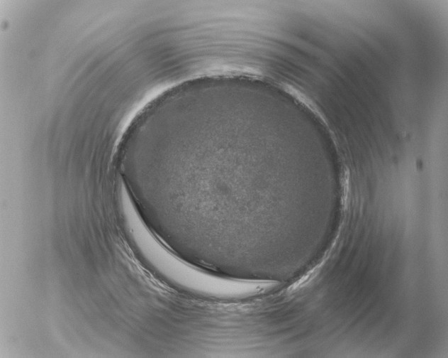 X0000056331021200509092323