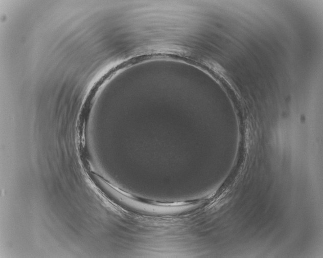 X0000056331024200509092323