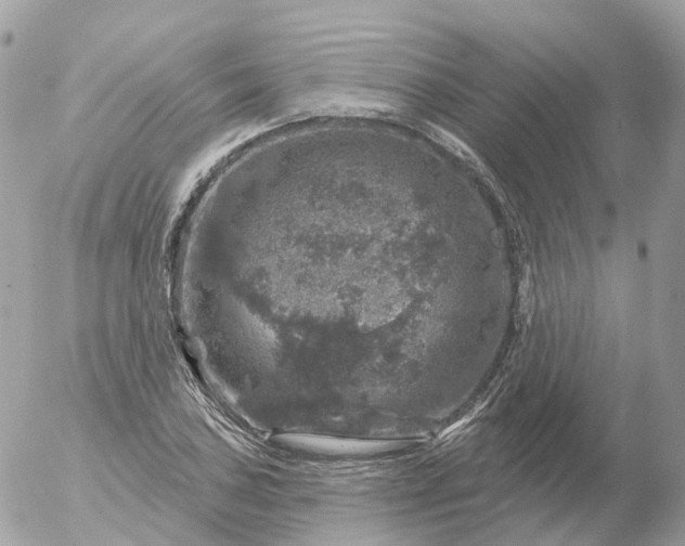 X0000056331027200509092323