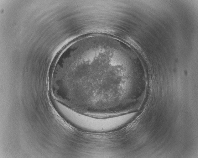 X0000056331028200509092323