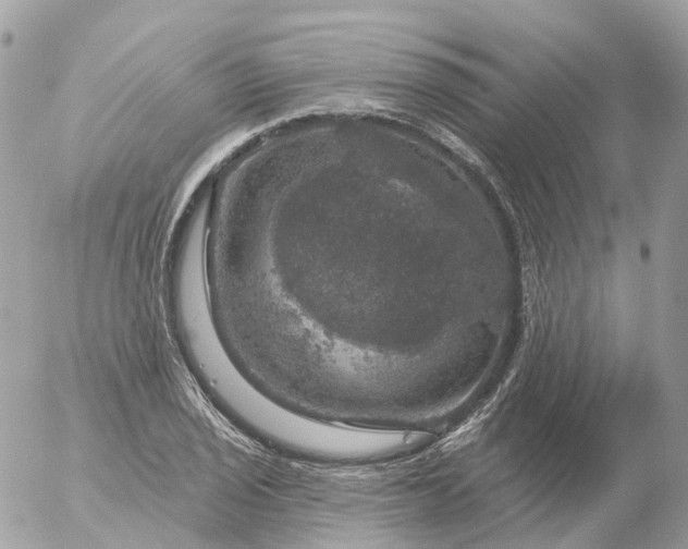 X0000056331029200509092323