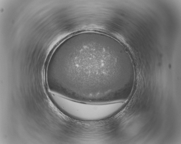 X0000056331032200509092323