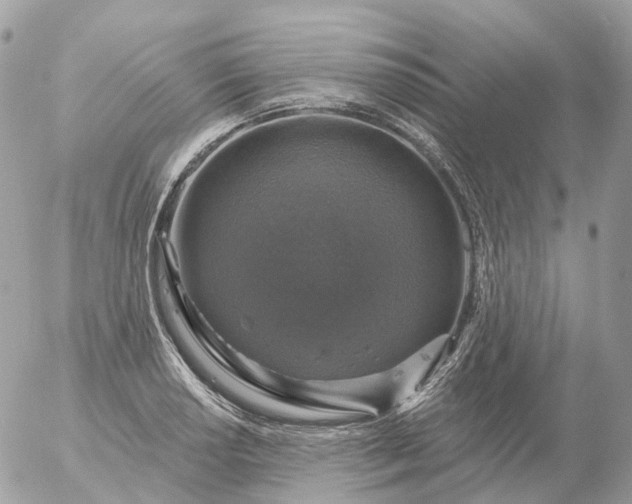 X0000056331034200509092323