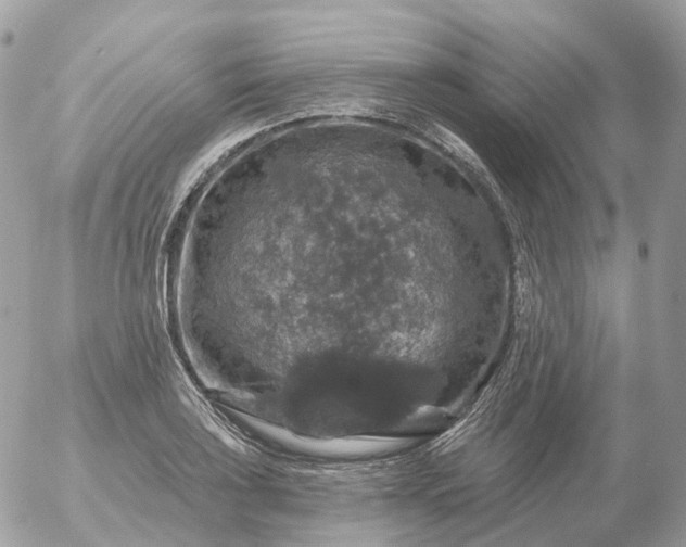 X0000056331035200509092323