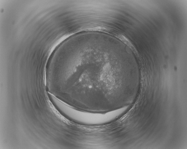 X0000056331036200509092323