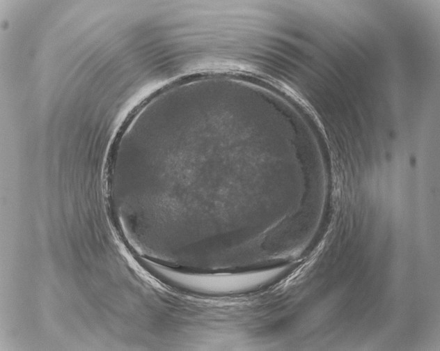 X0000056331037200509092323