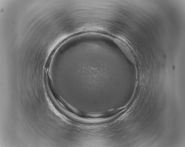 X0000056331038200509092323