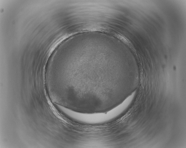 X0000056331039200509092323