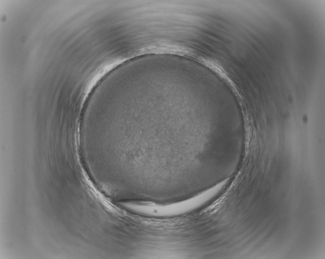 X0000056331040200509092323