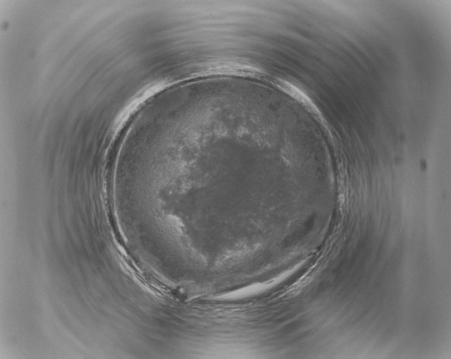 X0000056331043200509092323