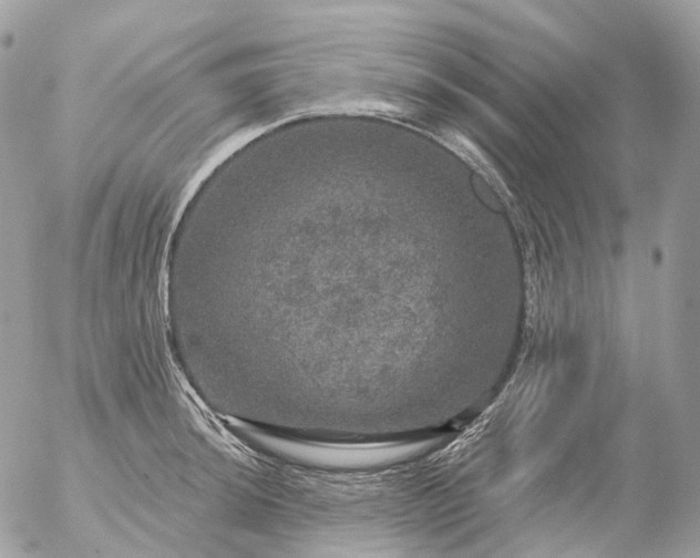 X0000056331044200509092323