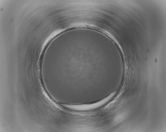 X0000056331045200509092323