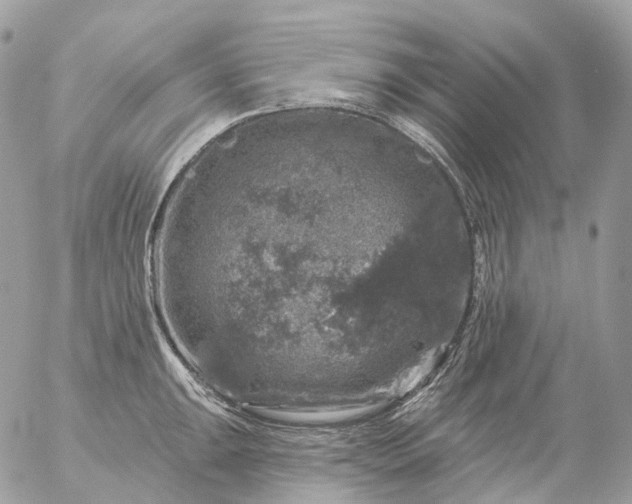 X0000056331047200509092323