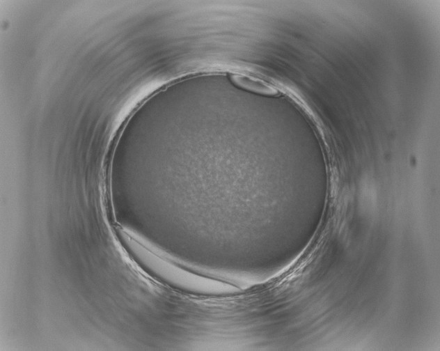 X0000056331048200509092323