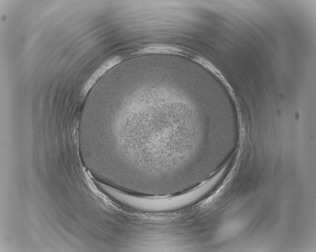 X0000056331049200509092323