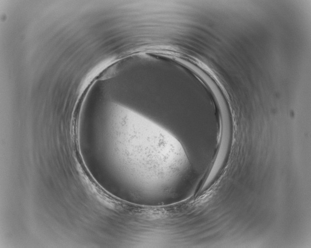 X0000056331050200509092323