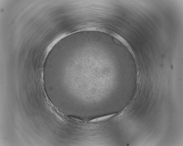 X0000056331051200509092323