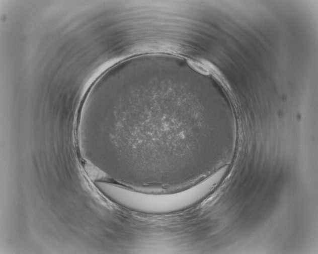 X0000056331052200509092323