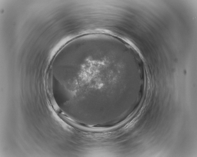 X0000056331054200509092323