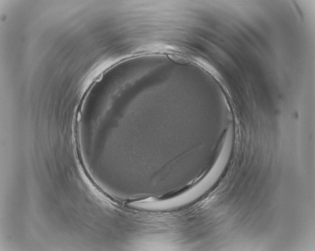 X0000056331055200509092323