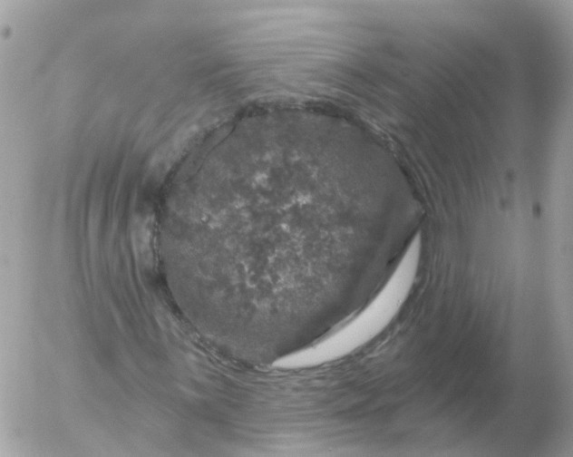 X0000056331059200509092323