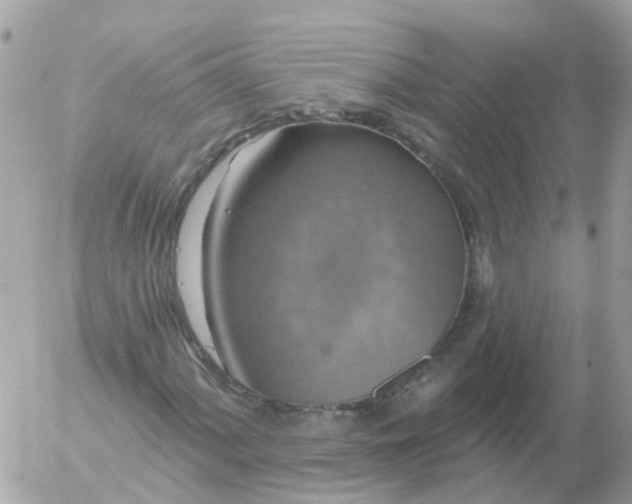 X0000056331060200509092323