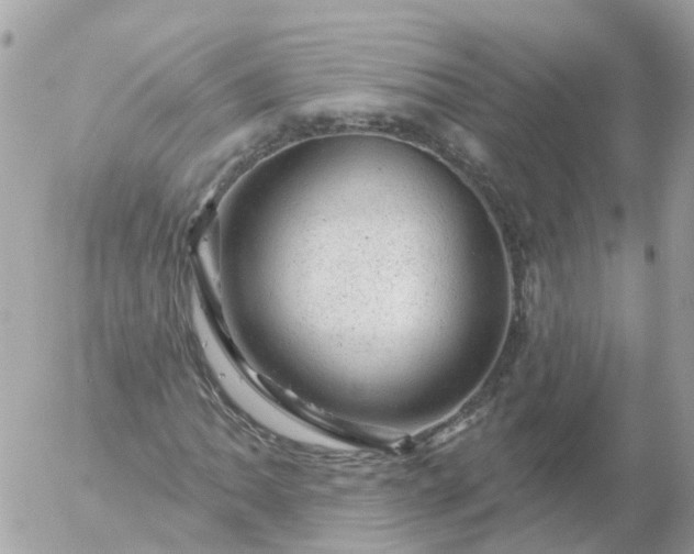 X0000056331062200509092322