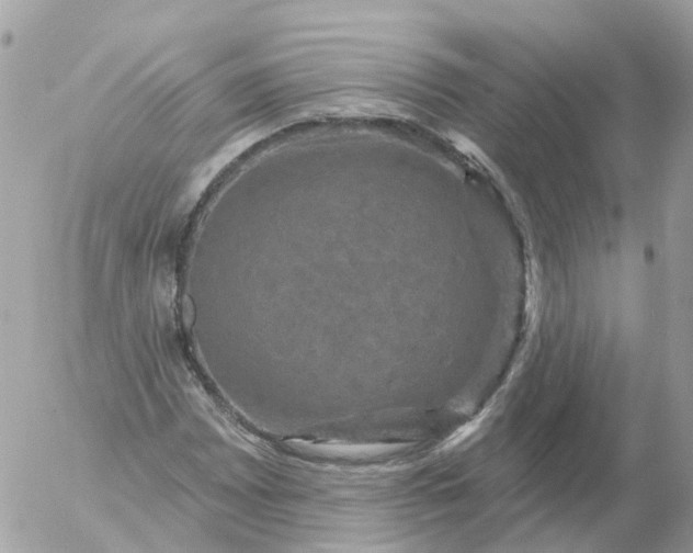 X0000056331065200509092322