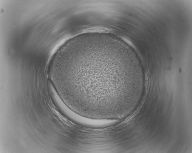 X0000056331067200509092322