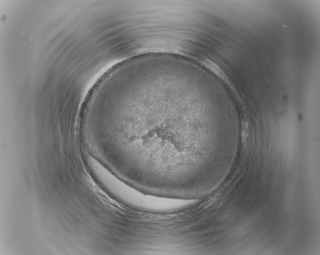 X0000056331068200509092322