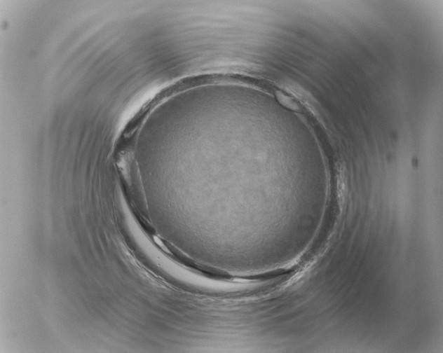 X0000056331069200509092322