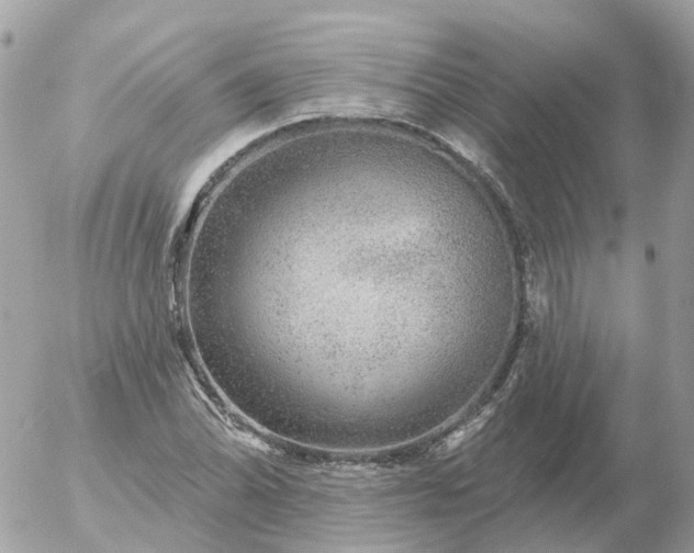 X0000056331070200509092322