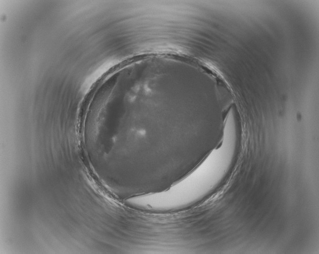 X0000056331071200509092322