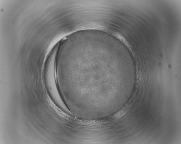 X0000056331072200509092322